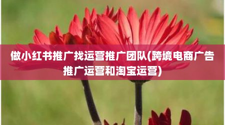 做小红书推广找运营推广团队(跨境电商广告推广运营和淘宝运营)