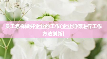 员工怎样做好企业的工作(企业如何进行工作方法创新)