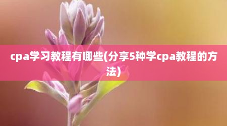 cpa学习教程有哪些(分享5种学cpa教程的方法)