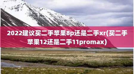 2022建议买二手苹果8p还是二手xr(买二手苹果12还是二手11promax)