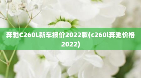 奔驰C260L新车报价2022款(c260l奔驰价格2022)