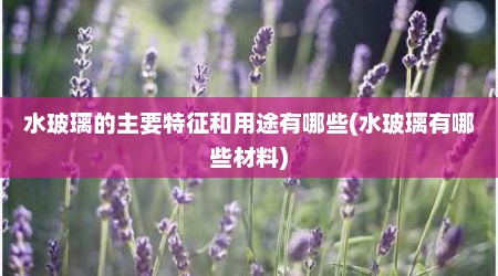 水玻璃的主要特征和用途有哪些(水玻璃有哪些材料)