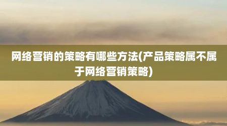 网络营销的策略有哪些方法(产品策略属不属于网络营销策略)