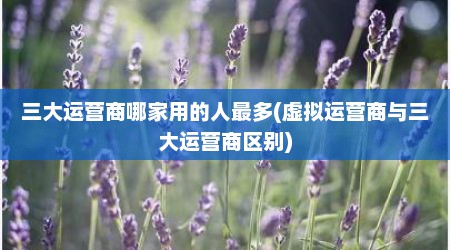 三大运营商哪家用的人最多(虚拟运营商与三大运营商区别)