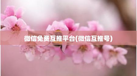微信免费互推平台(微信互推号)