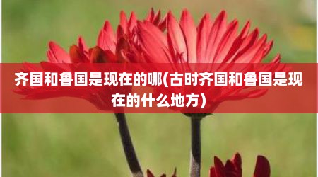 齐国和鲁国是现在的哪(古时齐国和鲁国是现在的什么地方)