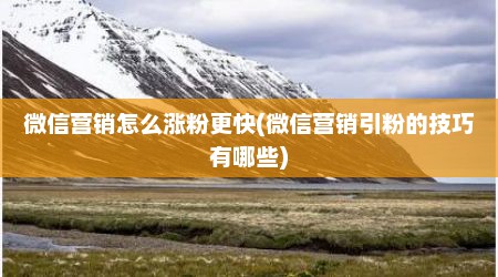 微信营销怎么涨粉更快(微信营销引粉的技巧有哪些)