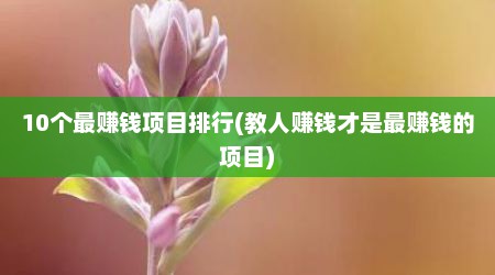 10个最赚钱项目排行(教人赚钱才是最赚钱的项目)