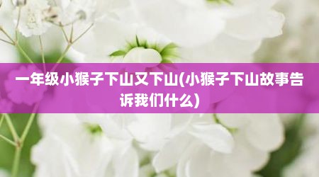 一年级小猴子下山又下山(小猴子下山故事告诉我们什么)