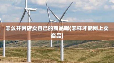 怎么开网店卖自己的商品呢(怎样才能网上卖商品)