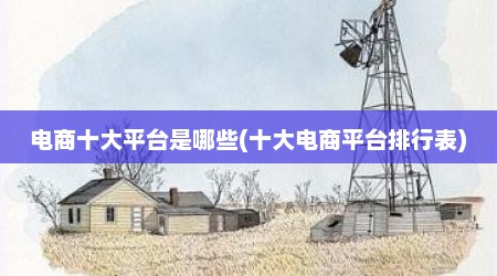 电商十大平台是哪些(十大电商平台排行表)