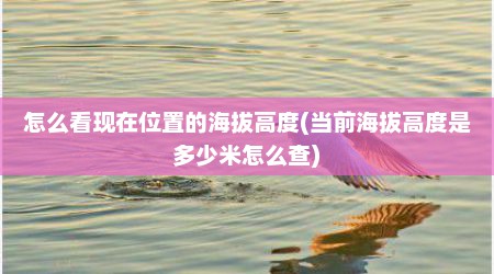怎么看现在位置的海拔高度(当前海拔高度是多少米怎么查)