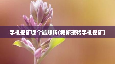 手机挖矿哪个最赚钱(教你玩转手机挖矿)