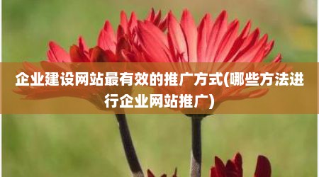 企业建设网站最有效的推广方式(哪些方法进行企业网站推广)