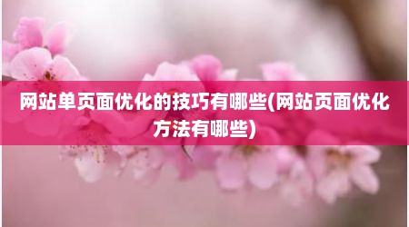 网站单页面优化的技巧有哪些(网站页面优化方法有哪些)