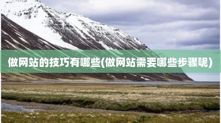 做网站的技巧有哪些(做网站需要哪些步骤呢)