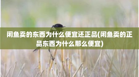 闲鱼卖的东西为什么便宜还正品(闲鱼卖的正品东西为什么那么便宜)