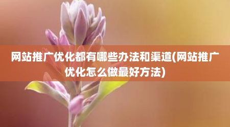 网站推广优化都有哪些办法和渠道(网站推广优化怎么做最好方法)