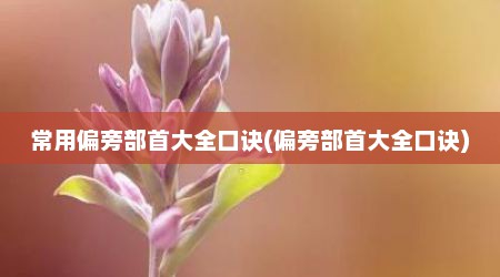 常用偏旁部首大全口诀(偏旁部首大全口诀)