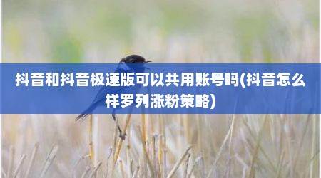 抖音和抖音极速版可以共用账号吗(抖音怎么样罗列涨粉策略)