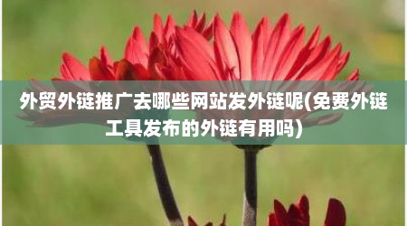 外贸外链推广去哪些网站发外链呢(免费外链工具发布的外链有用吗)
