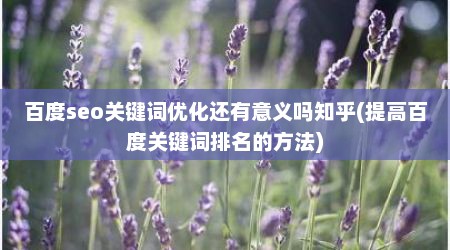 百度seo关键词优化还有意义吗知乎(提高百度关键词排名的方法)