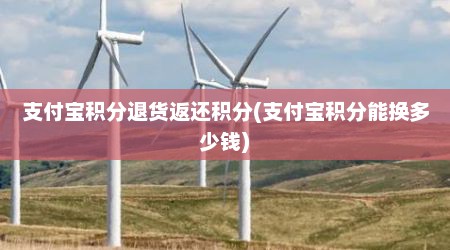 支付宝积分退货返还积分(支付宝积分能换多少钱)