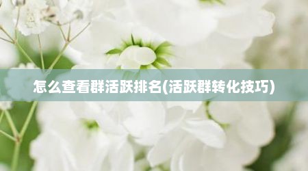 怎么查看群活跃排名(活跃群转化技巧)