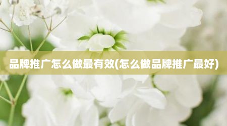 品牌推广怎么做最有效(怎么做品牌推广最好)
