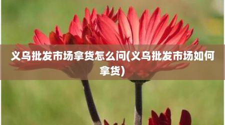 义乌批发市场拿货怎么问(义乌批发市场如何拿货)