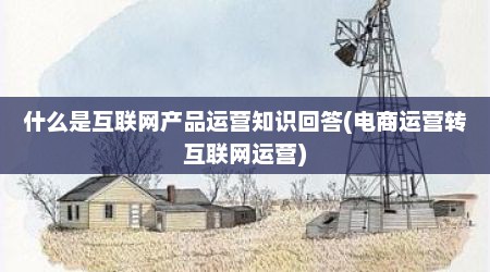 什么是互联网产品运营知识回答(电商运营转互联网运营)