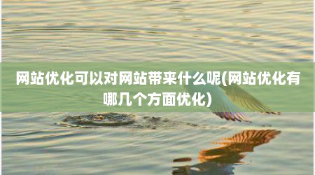 网站优化可以对网站带来什么呢(网站优化有哪几个方面优化)