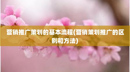 营销推广策划的基本流程(营销策划推广的区别和方法)