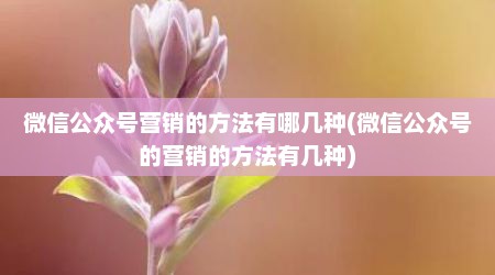 微信公众号营销的方法有哪几种(微信公众号的营销的方法有几种)