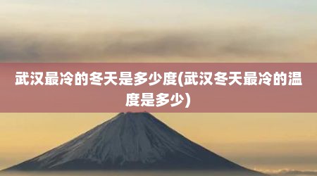武汉最冷的冬天是多少度(武汉冬天最冷的温度是多少)