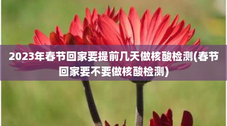 2023年春节回家要提前几天做核酸检测(春节回家要不要做核酸检测)