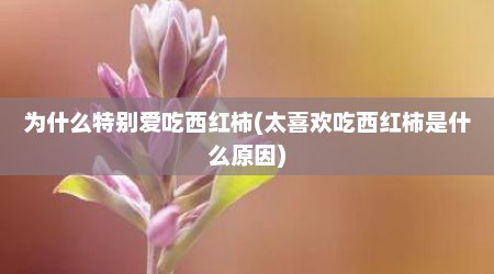 为什么特别爱吃西红柿(太喜欢吃西红柿是什么原因)