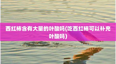 西红柿含有大量的叶酸吗(吃西红柿可以补充叶酸吗)
