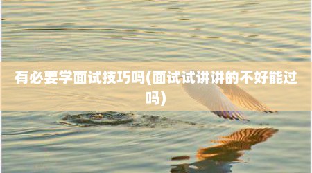 有必要学面试技巧吗(面试试讲讲的不好能过吗)