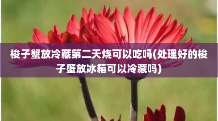 梭子蟹放冷藏第二天烧可以吃吗(处理好的梭子蟹放冰箱可以冷藏吗)