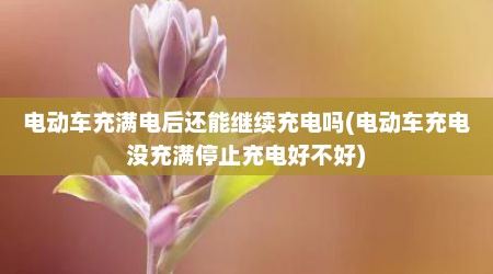 电动车充满电后还能继续充电吗(电动车充电没充满停止充电好不好)