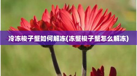 冷冻梭子蟹如何解冻(冻蟹梭子蟹怎么解冻)