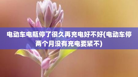 电动车电瓶停了很久再充电好不好(电动车停两个月没有充电要紧不)