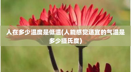 人在多少温度是低温(人能感觉适宜的气温是多少摄氏度)