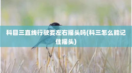 科目三直线行驶要左右摇头吗(科三怎么能记住摇头)