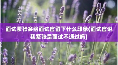 面试紧张会给面试官留下什么印象(面试官说我紧张是面试不通过吗)