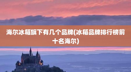 海尔冰箱旗下有几个品牌(冰箱品牌排行榜前十名海尔)