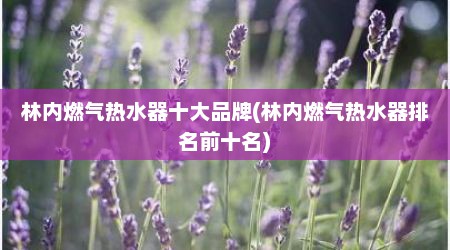 林内燃气热水器十大品牌(林内燃气热水器排名前十名)