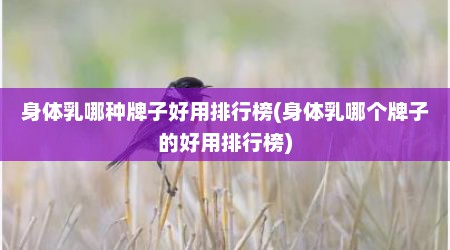 身体乳哪种牌子好用排行榜(身体乳哪个牌子的好用排行榜)