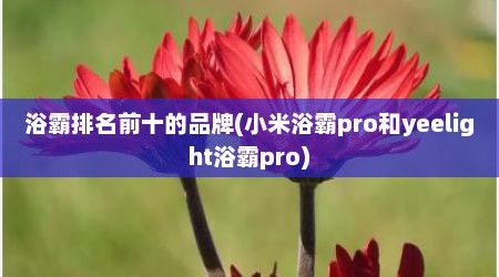 浴霸排名前十的品牌(小米浴霸pro和yeelight浴霸pro)